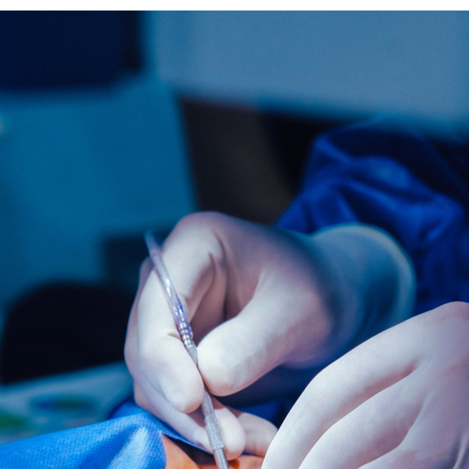 untitled design (11)