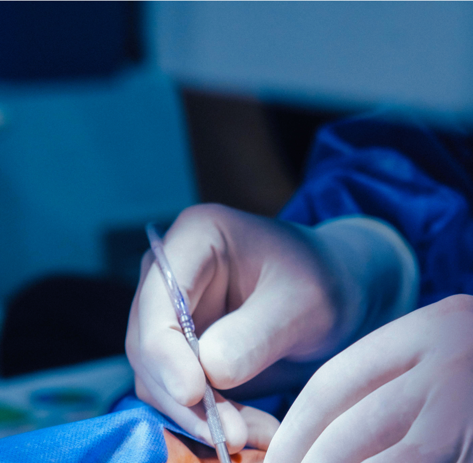 untitled design (11)